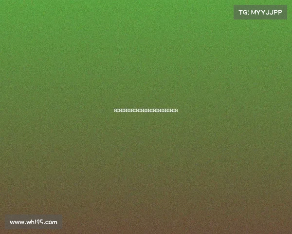 阿莫林谈转会传闻：不喜欢频繁更换球队愿在葡体稳定发展