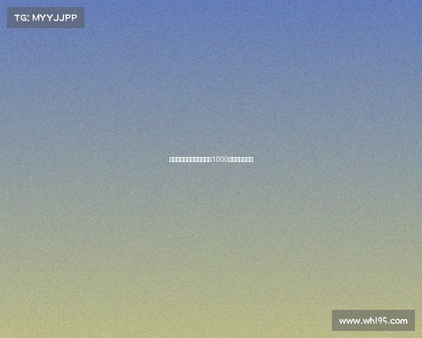 莫雷托：米兰从未出价超过1000万欧元求购扎卡